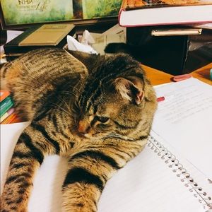 Meet your Posher, Christine